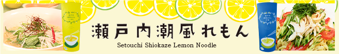 広島レモンの サラダで酢 よしの味噌 送料無料 ドレッシング １２本 ノンオイル 焼き肉 ２３０ｇ 2箱セット