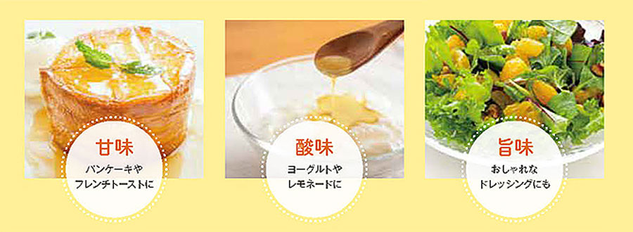 発酵レモンハニーソース